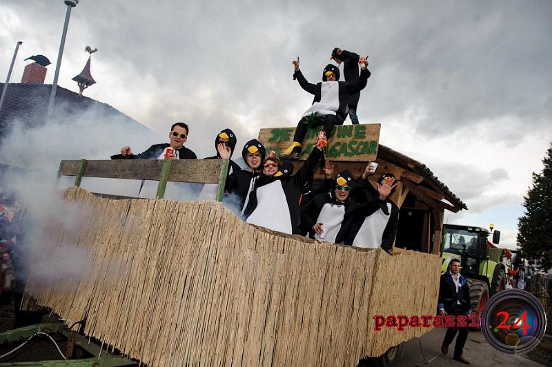 2016-02-07-niederdorfer-fasching-umzug-2016-paparazzi204.jpg - Thomas Hude