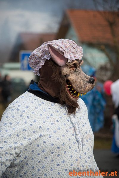 faschingsumzug-niederdorf-2016-229.jpg - Ernst Kitzer