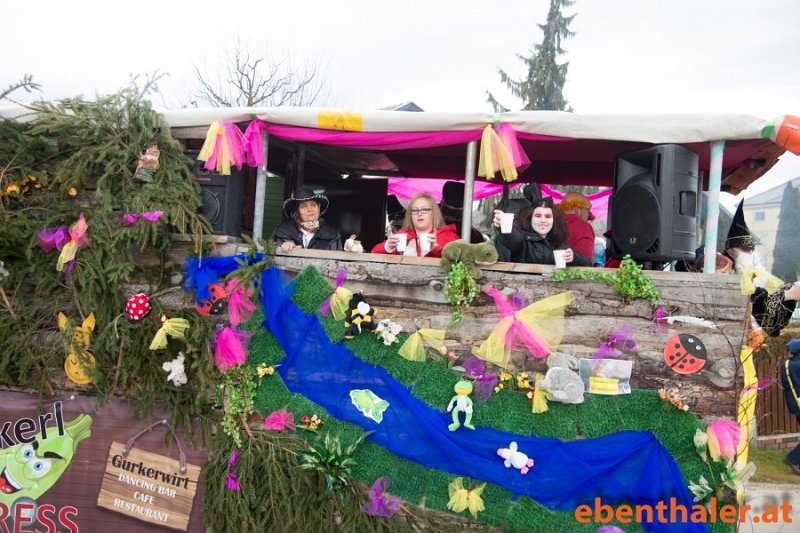 faschingsumzug-niederdorf-2016-78.jpg - Ernst Kitzer